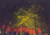 815bohlenwand.JPG (28293 Byte)