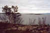 818smorfjord.JPG (74067 Byte)