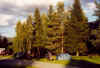 822campgol.JPG (48988 Byte)