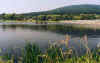 729sleza.JPG (30001 Byte)