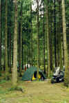 803campingzakopane.JPG (36801 Byte)