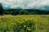 804strbahohetatra.JPG (37891 Byte)