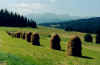 804zakopanehohetatra.JPG (24599 Byte)