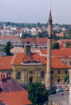 806egerminarett.JPG (27726 Byte)