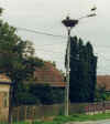 813stoerche.JPG (26731 Byte)