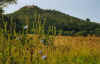 818szigliget242m.JPG (26914 Byte)