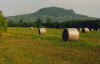 818tapolca358m.JPG (22220 Byte)