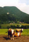 820gerichtmithungerturm.JPG (21752 Byte)