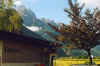 822camplienz.JPG (27204 Byte)