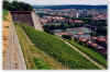 624wuerzburgstadt.JPG (168729 Byte)