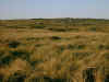 628leuchtturmhanstholm.jpg (121188 Byte)