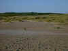 628strandhanstholm.jpg (73485 Byte)