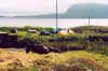 701campingtorshavn.JPG (129884 Byte)