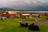 703campingreykjahlid.JPG (101571 Byte)