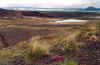 703myvatn.JPG (120462 Byte)