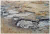 704brodelnderlehm.JPG (121102 Byte)