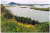 704ueppigevegetation.JPG (126687 Byte)