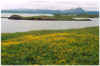 704wiesemyvatn.JPG (141981 Byte)