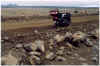 705burgmanenduro.JPG (140721 Byte)