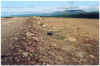 705erstemalblauerhimmel.JPG (139050 Byte)