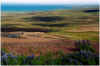 706strecke4x4.JPG (122452 Byte)