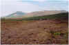 709arbakkafjall722m.JPG (116140 Byte)