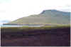 709beisaudarkrokur.JPG (74809 Byte)