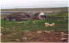 709leuchtturmskagenta.JPG (103483 Byte)