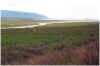 709skagafjoerdur.JPG (90451 Byte)