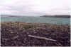 710unwirtlichesvatnsnes.JPG (110404 Byte)
