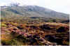 711snaefellsjoekull1446m.JPG (157106 Byte)
