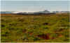 716langjoekull1355m.JPG (135294 Byte)