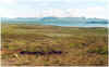 716pingvallatnsee.JPG (100414 Byte)