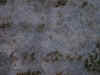716struktur2.jpg (80768 Byte)