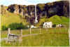 718islandbauernhof.JPG (190472 Byte)