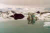 720kalbendergletscher.JPG (85942 Byte)
