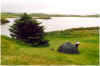 721campinghoefn.JPG (123532 Byte)