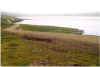721faskrudsfjoerdur.JPG (128698 Byte)