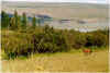 723wald650ha.JPG (183427 Byte)
