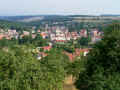 803saussy.jpg (136547 Byte)