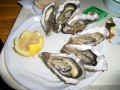 805austern.jpg (82952 Byte)