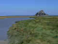 806stmichelfern1.jpg (71880 Byte)