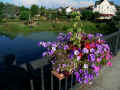 807graypark.jpg (123372 Byte)