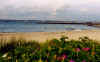 706helsingborg.JPG (45119 Byte)