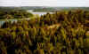 711alandwald.JPG (67900 Byte)