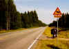 713elchnokia.JPG (59034 Byte)