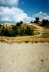 722dunenbeineringa.JPG (39633 Byte)