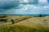 722dunenundhaff.JPG (46785 Byte)