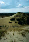 722hochstedune.JPG (36389 Byte)