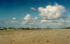 722ostseestrand.JPG (33077 Byte)